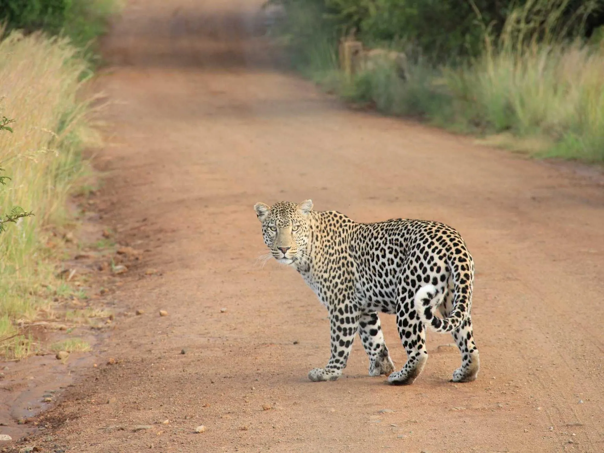 Smart Accessories for Your Devices 3